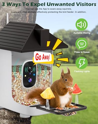 Smart Bird Feeder with Camera,5200mAh Battery with Solar Panel, 4K Native Resolution Live View, AI Species Identification, Auto Capture & Instant Arrival Alert, Ideal Gift for Bird Lovers (Dark Grey) - color: Dark Grey