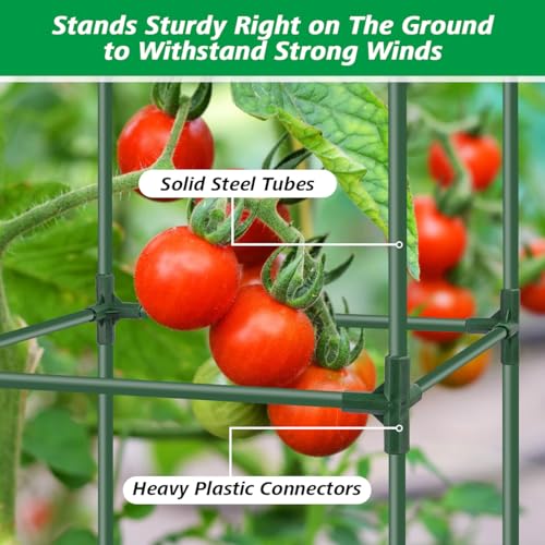 3Pack Tomato Cages for Garden,Square Tomato Plant Cage Support Heavy Duty Pole 57*15.4*15.4 Inches,Steel Plant Tower Stakes,Cherry Tomato Trellis Cucumber for Climbing Vegetables Flowers Fruits-Green - color: Tomato Cages-Green