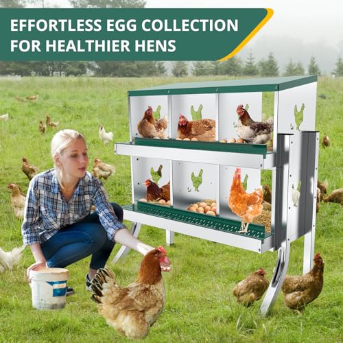 6 Compartment Chicken Nesting Box Chickens Hens Ducks Egg Metal Coop | Protect Eggs Under Lid; Support Poultry Nesting; Slide Tray For Cleaning; Improve Nest Cleanliness; Metal Chicken Run - color: Green