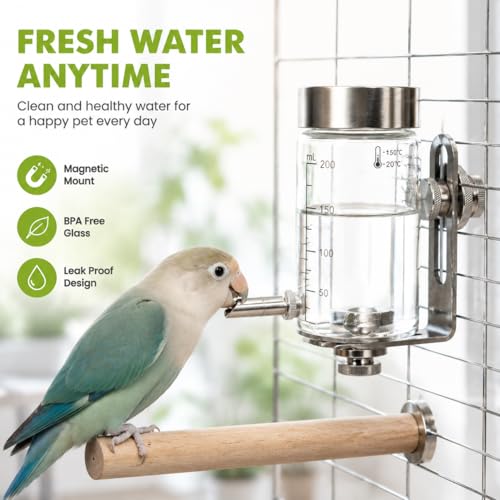 Glass Bird Water Feeder with Magnetic Holder – No Drip Cage Water Dispenser for Small Parrots & Birds, Automatic Drinking Bottle for Cockatiels, Budgies, Lovebirds, Conures (150ml4245-1) - size: S