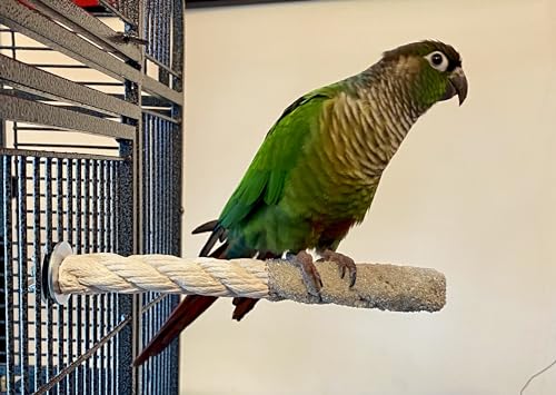 Polly's Sand-E-Rope Safety Bird Perch Toy-Trims Nails & Beak-Promotes Healthy Feet-Safe Non-Toxic-Bird Supplies for Bird Cages (Silver, Small) - color: Silver, size: Small