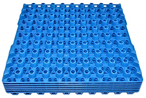 12 90 Egg Plastic Trays Quail Pigeon Dove Bird Flat Carton