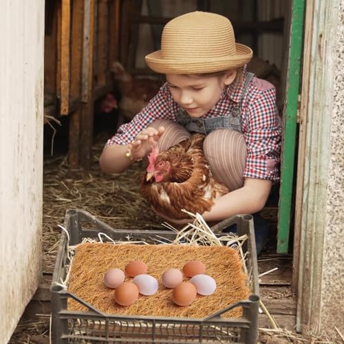 Zhengmy 12 Pcs Chickens Nesting Pads Set Nest Box Bedding Washable Nesting Pads for Chicken Coop, Artificial Grass Rug Carpet Synthetic Turf Mat, 12 x 12 x 1.2 Inches(Brown) - color: Brown