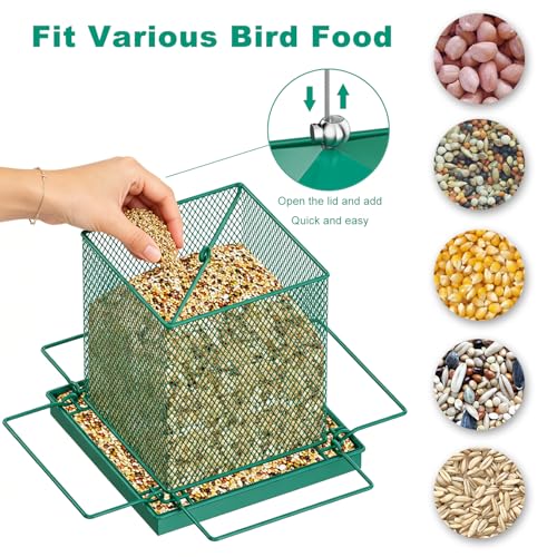 HOSUN 100% Metal Hanging Wild Bird Feeder, Bird Watching Gift | All-Around Feeding with Metal Perches,Mesh Ventilated,Outdoor Feeder with Steel Rope & Hook for Garden Yard Patio