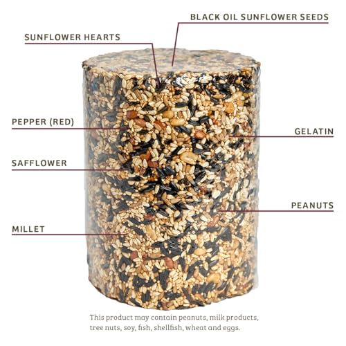 Birds Choice Trailblazin' Spicy Bird Seed | Squirrel Proof Wild Bird Food with Red Pepper | High-Energy Black Oil Sunflower Seeds, Peanuts & Safflower | High Protein & Fat Feeders | 5.1 lbs (2-Pack) | Squirrel Resistant Red Pepper Blend of Black Oil Sunfl