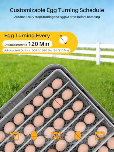 48 Incubators for Hatching Eggs, Eggs Incubator with Egg Candler, Automatic Turner, Temperature and Humidity Control, Incubator for Chicken, Duck, Quail Eggs, Ideal for Farm, School and Lab