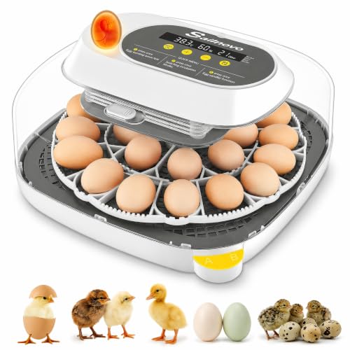 Sailnovo 24 Eggs Incubator, 4 Modes, Temp Control & Humidity Display, Grey | 3 Preset Modes, Built-in Candler, 360 View Window, Humidity Alarm, Easy Clean, Chicken Duck Quail eggs, Home Classroom Farm - color: Grey, size: 24 Eggs