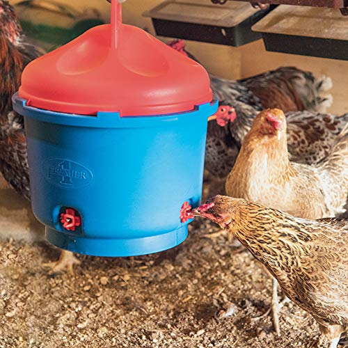 Premier 1 All-Season Heated Poultry Waterer for Chickens & Ducks – 3 Gallon | 100W thermostat keeps water unfrozen to -20°F. Quick-fill cap, 3 recessed nipples, 16 ft detachable cord. Up to 35 birds.