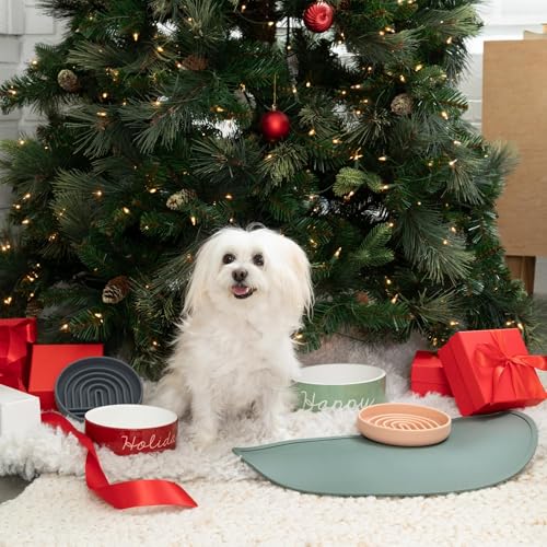 Waterproof Silicone Dog Food Mat – Large Size Non-Slip Pet Bowl Mat, Raised Edge Design, Easy-to-Clean Pet Food Placemat for Dog & Cat Bowls, 28" Across x 14" Deep - Sage - color: Sage, size: Large