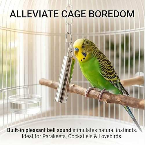 Stainless Steel Bird Bells 2-Pack | Durable Hanging Bird Toy for Cage, Interactive Budgie Toys for Parakeet & Cockatiel