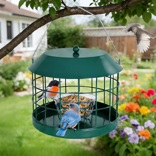 Gbekery Caged Bluebird Feeder for Mealworms with Glass Bowl, Squirrel Proof Bird Feeder for Small Birds Only, Detachable Hook, Large Space, Outdoors Weatherproof, Metal, Green - style: Green Glass Bowl