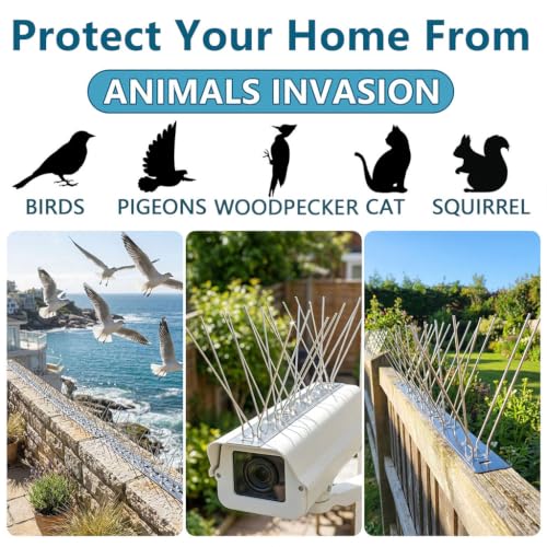 Bird Spikes 3.28FT, 304 Stainless Steel Bird Deterrents Spikes for Outside to Keep Birds Away Birds Scare Devices Outdoor 4Pcs - size: 3.28Feet