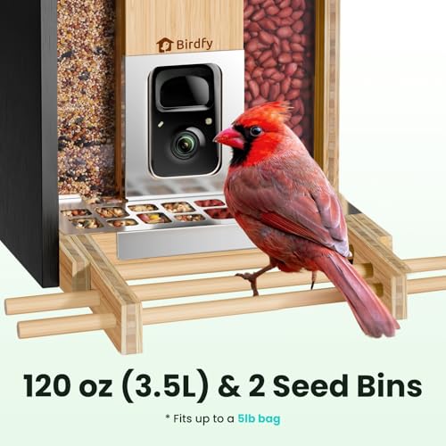 Smart Bird Feeder with Camera, Solar Powered, 2K Live Stream, Bamboo Bird Feeder with Metal Guard, AI Bird Identification, Auto-Recorded Videos, Gift for Bird Lovers - style: BamG AI lifetime