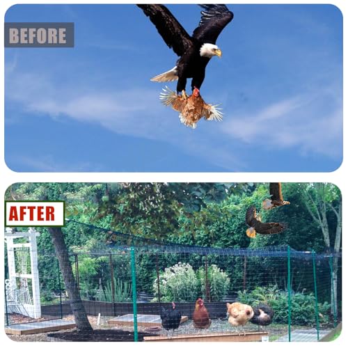 Bird Netting for Chicken Coop - 50x50ft Chicken Netting for Chicken Coop Roof, Poultry Net Coop Netting Cover, Hawk Netting for Chicken Run Fence, 2.4" Mesh Anti Bird Net for Garden Aviary Tree Deers - size: 2.4", 50' x 50'