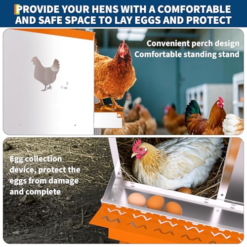 6 Compartment Galvanized Metal Chicken Nesting Box, Easy Install & Clean Roll Out Egg Laying Boxes for Backyard Chicken Coop, Anti-Rust Egg Protection Nest,Orange - color: Orange, size: 6 holes