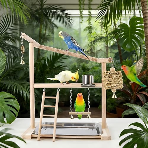 Small Bird Playground Stand, Natural Wood Parrot Stand Playground with Removable Tray, Feeder Cups, Ladder, Swing & Chew Toys for Cockatiel, Conure, Parakeet