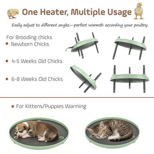 Brooder Plate for Chicks,12inch Metal Heating Plate,Perfectly Adjustable Height & Angle, 35W Chick Warmer for Brooding Newborn Chicken Duckling Quail,Chicken Coop Heater, Warming Puppy Cats