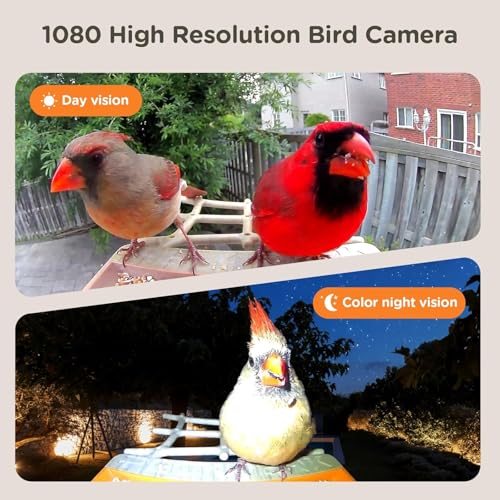 Bird Feeder with Camera Solar Powered, Smart Birds Feeder for Outside, AI Bird Identification Auto Capture Videos Pictures, 2K Live Feed Cam for Backyard, Ideal Gift for Birds Lover (Brown) - color: Brown