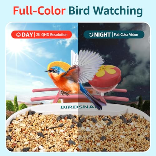birdsnap® TUC Bird Feeder with Camera Solar Powered 2K Video with 32GB Card | AI Bird Species Identification, Squirrel-Proof, IP65 Waterproof, Outdoor Wireless, 2.4G WiFi, Gift for Mom Dad Bird Lovers - color: Pink