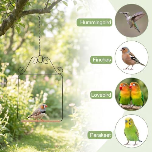 2 Pack Hummingbird Swings, Black Metal Frame Hummingbird Swings with Wooden Dowel Wild Bird Swing Outdoor Bird Perch with 2Pcs Hanging Chain for Hanging Indoor Outdoor Trunk Lawn Patio Garde