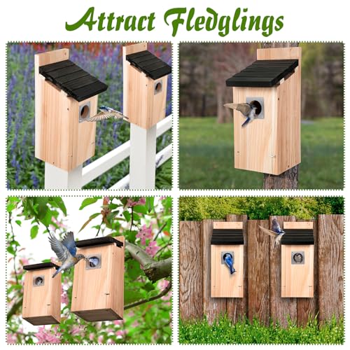 Dreyoo 2 Pack Bluebird Box Houses for Outside,1-1/2'' Entrance Hole Wooden Bird Houses with Metal Guard, Secure Latch,Fledgling Grooves,Air Vents for Bluebird Wren Swallow(Dark Wood) - color: Dark Wood