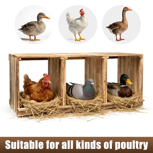 Nesting Boxes for Chickens, Oltara 3 Compartment Carbonized Wooden Egg Laying Nest Box for Chickens, Hens, Ducks,Bird Houses