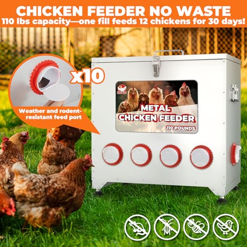 Large Chicken Feeder No Waste, 110lbs Capacity 10 Port,Metal Chicken Feeder | Rainproof Locking Lid, Adjustable Legs, Galvanized Steel, Fits Chickens Ducks Turkeys, Easy to Clean