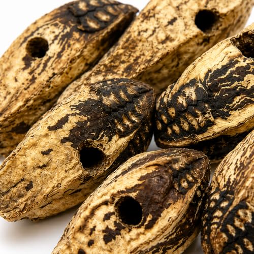 Bonka Bird Toys 3410 Drilled Mahogany Pods Shreddable Foraging Bird Toy with Natural Materials Hanging Cage Toy 9" for Small to Medium Parrots Budgie Cockatiel Conure Chewing Enrichment (Pack of 12) - size: Pack of 12