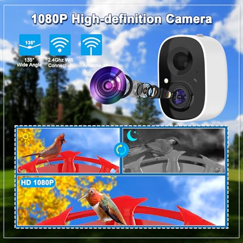 Hummingbird Feeder with Camera, Smart Hummingbird Feeder Camera Solar Powered with AI Identify, Auto Capture Bird Videos & Motion Detection, Ideal Gift for Bird Lovers