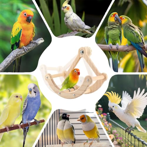 Bird Perch Toy, Wooden Interactive Rocking Parakeet Toys & Perches, Exercise Wheel Cockatiel Toys, Intelligence Puzzle Birds Enrichment Toy Bird Playground for Budgies Conure (Wood)