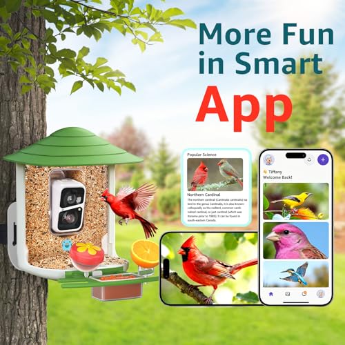 birdsnap® TUC Bird Feeder with Camera Solar Powered 2K Video with 32GB Card | AI Bird Species Identification, Squirrel-Proof, IP65 Waterproof, Outdoor Wireless, 2.4G WiFi, Gift for Mom Dad Bird Lovers - color: Green
