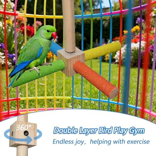 Double Layer Bird Play Gym with 360° Rotating Perch & Exercise Wheel - Interactive Training Stand for Small & Medium Parrots, Parakeets, Cockatiels, Lovebirds