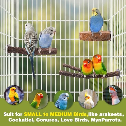 8PCS Bird Perches Set Natural Apple Wood Bird Cage Accessories Wooden Parrot Stand Hardwood Branches for Parakeets, Budgies, Cockatiels Small Bird Habitat Gym, Climbing Stand & Safe Chew Toys