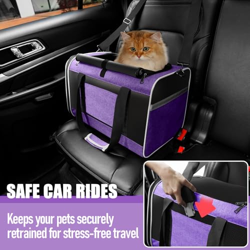 GAPZER Large Cat Carrier Soft, Collapsible Travel Pet Carry Bag, Small Dogs | Large Cats up to 20 lbs+ Maine Coon, Top Load Transport Small Puppy Dog Crate, Chihuahua Mini Dog 10lbs, Sturdy Fabric Pueple - color: Purple