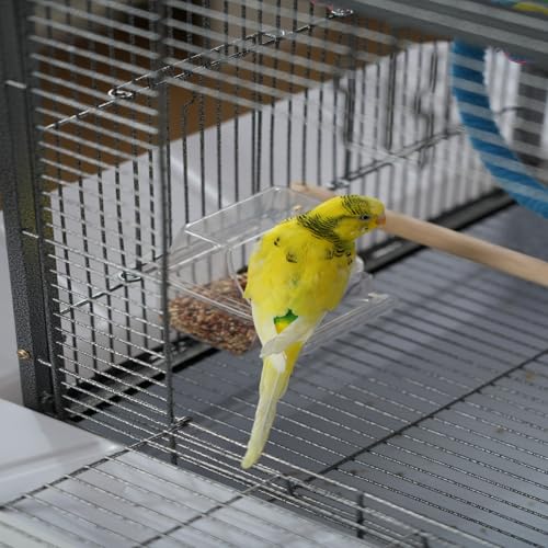 Spacious 20 Inch Metal Bird Cage for Parakeets, Cockatiels & Small Birds – Pull-Out Tray, Portable Carrier with Playground Stand & Handles – Easy Clean, Travel-Friendly, Black