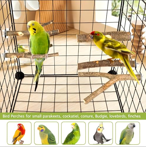5 Pcs Natural Wood Bird Perch Stand Set for Bird Cages | Ideal for Small/Medium Birds (Budgies, Conures) | Bark Textures for Foot Health | Tool-Free Wing-Nut | Safe Chewing - size: Essential Perch Bundle - 5PCS