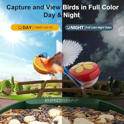 birdsnap® PAV Bird Feeder with Camera Solar Powered 2K Live Video 32GB Card | AI Bird Species Identification, Instant Arrival Alerts, IP65 Waterproof, Wild Bird Feeders for Outdoors, Gift for Bird Lovers - color: Dark Green