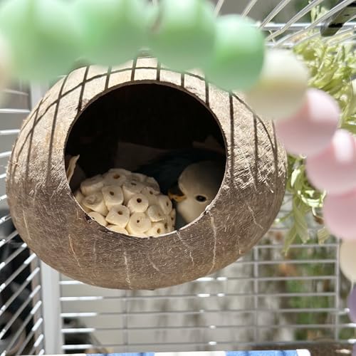 6PCS Natural Sola Balls Bird Chew Toys 2.36", Soft Shredding Biting Toy for Parakeets, Cockatiels, Budgies, Conures, Lovebirds & Small Pets