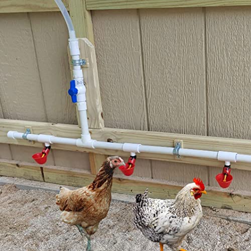 Pack of 30 Chicken Waterer PVC Tee Fittings Waterer Fully Automatic Poultry Waterers PVC Fittings for Threaded Poultry Waterer Cups Nipples Feeders