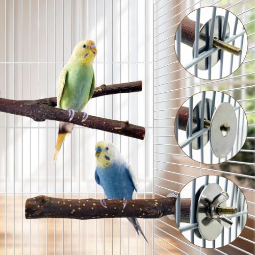 BNOSDM 5PCS Bird Mirror with Perches Stand Parrot Natural Wood Stick Perches Forked Perch Branch Parakeet Toy Set Bird Cage Accessories for Budgie Cockatiel Conure Finch Lovebird