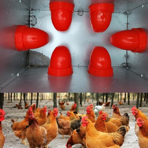 1pc 40 lb Chicken Feeder Box-6 Ports Large Metal Automatic Chicken Feeder Rat Proof with Locking Lid and Legs Galvanized for Chickens, Ducks, Geese(T1)
