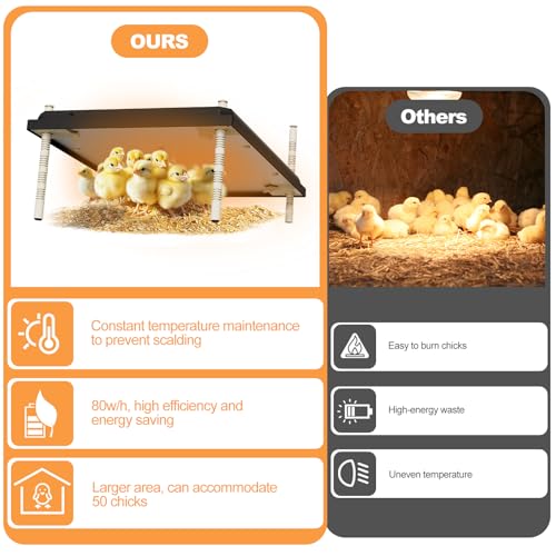 ZIDA Chick Brooders Heating Plate - 16 x 24 Inch Height and Angle Adjustable, Constant Temperature Setting 80w Brooder Heat Plate, Can Heat 50 Chicks, Low Decibel, Energy Saving and Safer