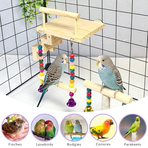 Bird Perch Platform with Ladder & Swing,Parrot Wooden Play Gym Cage Toys | Bird Wood Playing Exercise Stands Perches,Parakeet Climbing Ladder Playground Cage Accessories for Cockatiel Budgie Lovebird - size: Bird Perch Platform with Ladder Swing