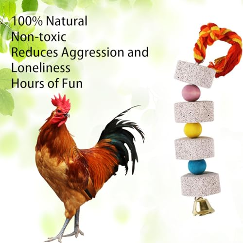 2 Pcs Large Chicken Chewing Toy with Bell Chicken Coop Accessories Chick Beak Grinding Calcium Stone for African Greys Amazon Conure Eclectus Budgies Parakeet Cockatiel Hamster