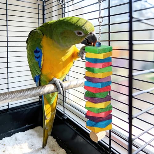 GANAZONO 100Pcs Parrot Wood Blocks Toys Wooden Blocks Bird Chewing Toy Bird Bite Toys Mini Wood Chips DIY Craft for Parrot Playing Chewing | 100Pcs Safe Bite Toy for Small Birds Teething Grinding Fun Mixed Colors for Cockatiels Parakeets and Conures