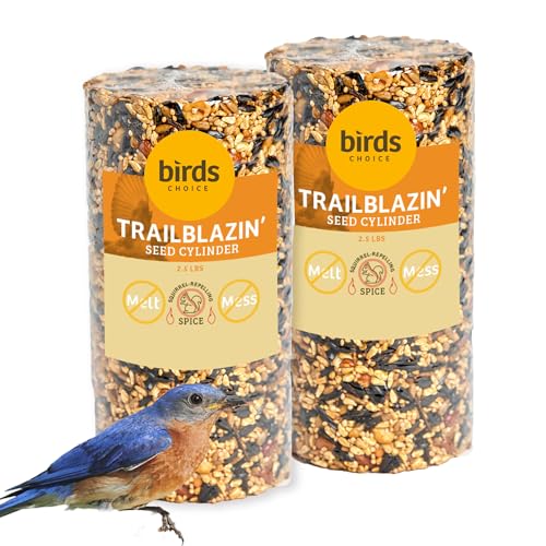Birds Choice Trailblazin' Spicy Bird Seed | Squirrel Proof Wild Bird Food with Red Pepper | High-Energy Black Oil Sunflower Seeds, Peanuts & Safflower | High Protein & Fat Feeders | 2.5 lbs (2-Pack) | Squirrel Resistant Red Pepper Blend of Black Oil Sunfl