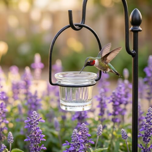 DECHOUS 3Pcs Replacement Glass Cups for Oriole Feeder Hummingbird Wild Bird | Outdoors Garden Balcony Patio Birds Feeding Accessories, Glass Jelly Feeder Cups for Oriole and Hummingbirds