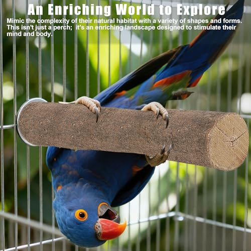 8 PCS Bird Perch Set | Natural Birch Wood, Straight & Forked Perches with Platforms, For Parakeets, Cockatiels, Conures, Lovebirds, Cage Accessories