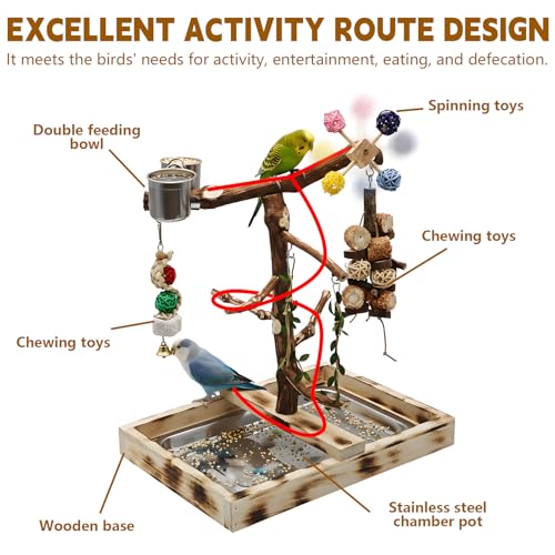 Large Natural Wood Bird Perch Playground for Small Parrots Budgies Conures Lovebirds