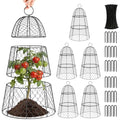 6 Pack Garden Cloche Plant Protectors from Animals, Adjustable 3-Tier Chicken Wire Plant Cages for Outdoor Plants, Stackable Metal Garden Cloches Keep Rabbits, Squirrels & Birds Away, 17.3" x 11.4" - size: 17.3" x 11.4"